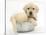 Yellow Labrador Retriever Puppy, 7 Weeks, in a Metal Dog Bowl-Mark Taylor-Stretched Canvas