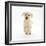 Yellow Labrador Retriever Puppy, 8 Weeks, Running Forward-Mark Taylor-Framed Photographic Print