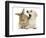 Yellow Labrador Retriever Puppy, 8 Weeks, Yawning in Lionhead Cross Rabbit's Ear-Mark Taylor-Framed Photographic Print