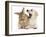 Yellow Labrador Retriever Puppy, 8 Weeks, Yawning in Lionhead Cross Rabbit's Ear-Mark Taylor-Framed Photographic Print