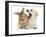 Yellow Labrador Retriever Puppy, 8 Weeks, Yawning in Lionhead Cross Rabbit's Ear-Mark Taylor-Framed Photographic Print