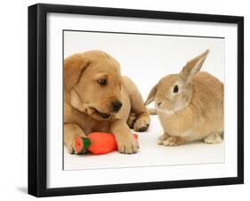 Yellow Labrador Retriever Puppy with Squeaky Toy-Carrot and Young Sandy Lop Rabbit-Jane Burton-Framed Photographic Print