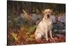 Yellow Labrador Retriever Sitting Among Ferns by Stone Wall, Connecticut, USA-Lynn M^ Stone-Stretched Canvas