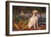 Yellow Labrador Retriever Sitting Among Ferns by Stone Wall, Connecticut, USA-Lynn M^ Stone-Framed Photographic Print