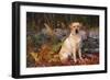 Yellow Labrador Retriever Sitting Among Ferns by Stone Wall, Connecticut, USA-Lynn M^ Stone-Framed Photographic Print