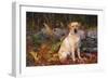 Yellow Labrador Retriever Sitting Among Ferns by Stone Wall, Connecticut, USA-Lynn M^ Stone-Framed Photographic Print