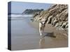 Yellow Labrador Retriever Walking in Sand at Hendrey's Beach in Santa Barbara, California, USA-Zandria Muench Beraldo-Stretched Canvas