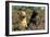 Yellow Labrador Sitting Next to Black Labrador-null-Framed Photographic Print