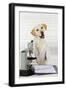 Yellow Labrador Wearing Lab Coat with Microscope-null-Framed Photographic Print