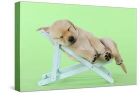 Yellow Labrdaor Puppy Lying in Deckchair-null-Stretched Canvas