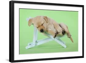 Yellow Labrdaor Puppy Lying in Deckchair-null-Framed Photographic Print