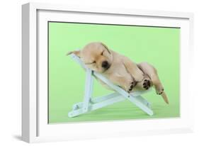 Yellow Labrdaor Puppy Lying in Deckchair-null-Framed Photographic Print