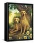 Yellow Labs-Dan Craig-Framed Stretched Canvas