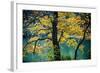 Yellow Leaves in the Fall-Jody Miller-Framed Photographic Print