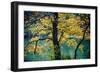 Yellow Leaves in the Fall-Jody Miller-Framed Photographic Print