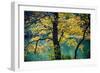 Yellow Leaves in the Fall-Jody Miller-Framed Photographic Print