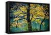 Yellow Leaves in the Fall-Jody Miller-Framed Stretched Canvas