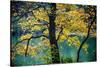Yellow Leaves in the Fall-Jody Miller-Stretched Canvas
