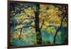 Yellow Leaves in the Fall-Jody Miller-Framed Photographic Print