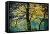 Yellow Leaves in the Fall-Jody Miller-Framed Stretched Canvas