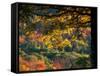 Yellow Leaves of a Sugar Maple, Green Mountains, Vermont, USA-Jerry & Marcy Monkman-Framed Stretched Canvas