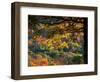 Yellow Leaves of a Sugar Maple, Green Mountains, Vermont, USA-Jerry & Marcy Monkman-Framed Photographic Print