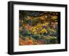 Yellow Leaves of a Sugar Maple, Green Mountains, Vermont, USA-Jerry & Marcy Monkman-Framed Photographic Print