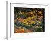 Yellow Leaves of a Sugar Maple, Green Mountains, Vermont, USA-Jerry & Marcy Monkman-Framed Photographic Print