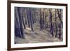 Yellow Leaves Trees-iunewind-Framed Photographic Print