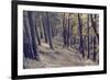 Yellow Leaves Trees-iunewind-Framed Photographic Print