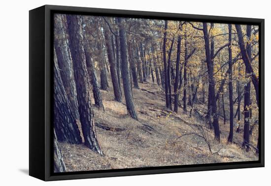 Yellow Leaves Trees-iunewind-Framed Stretched Canvas