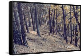 Yellow Leaves Trees-iunewind-Framed Stretched Canvas