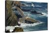Yellow Legged Gull (Larus Michahellis) in Flight, Cabo Sard?o (Cape) Alentejo, Portugal-Quinta-Stretched Canvas