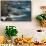 Yellow Legged Gull (Larus Michahellis) in Flight, Cabo Sard?o (Cape) Alentejo, Portugal-Quinta-Framed Stretched Canvas displayed on a wall