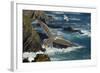 Yellow Legged Gull (Larus Michahellis) in Flight, Cabo Sard?o (Cape) Alentejo, Portugal-Quinta-Framed Photographic Print