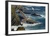 Yellow Legged Gull (Larus Michahellis) in Flight, Cabo Sard?o (Cape) Alentejo, Portugal-Quinta-Framed Photographic Print