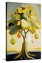 Yellow Lemon Tree-Lea Faucher-Stretched Canvas