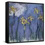 Yellow Lilies and Rose Cloud, C. 1918-Claude Monet-Framed Stretched Canvas