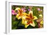 Yellow Lilies-George Johnson-Framed Photographic Print