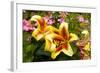 Yellow Lilies-George Johnson-Framed Photographic Print