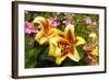 Yellow Lilies-George Johnson-Framed Photographic Print