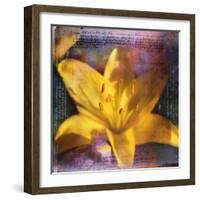 Yellow Lily and Text-Colin Anderson-Framed Photographic Print