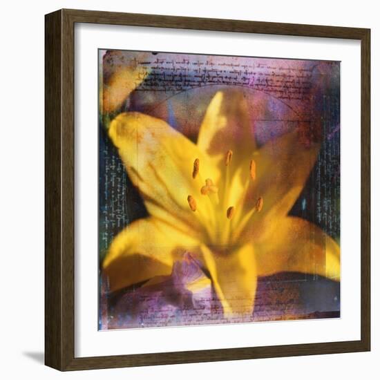 Yellow Lily and Text-Colin Anderson-Framed Photographic Print