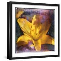 Yellow Lily and Text-Colin Anderson-Framed Photographic Print