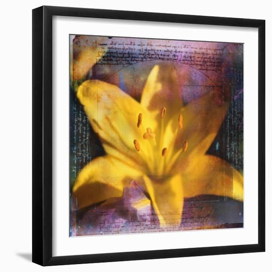 Yellow Lily and Text-Colin Anderson-Framed Photographic Print