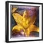 Yellow Lily and Text-Colin Anderson-Framed Photographic Print