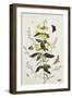 Yellow Loosestrife and Other Wild Flowers-Thomas Robins Jr-Framed Giclee Print
