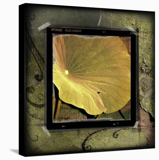 Yellow Lotus-Suzanne Silk-Stretched Canvas