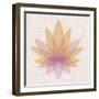 Yellow Lotus-null-Framed Art Print