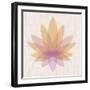 Yellow Lotus-null-Framed Art Print